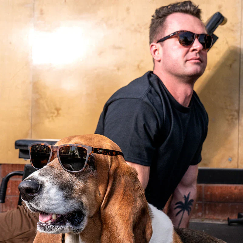 goodr OG Bosley's Basset Hound Dreams sunglasses — lifestyle view