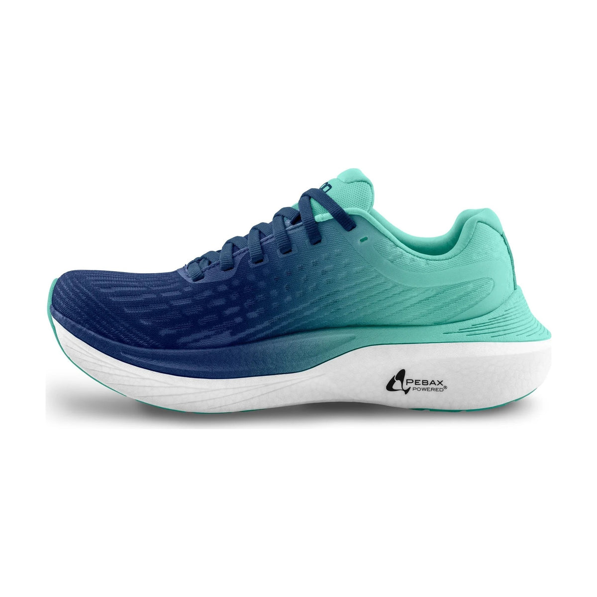 #Colour_Blue/Blue