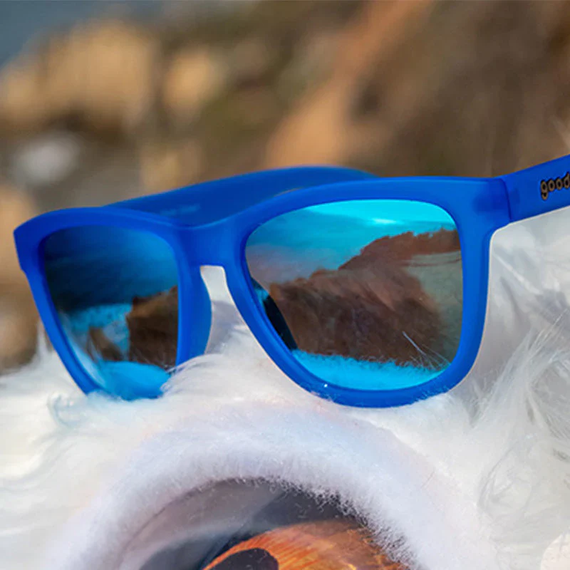 goodr OG Falkor's Fever Dream sunglasses — packaging