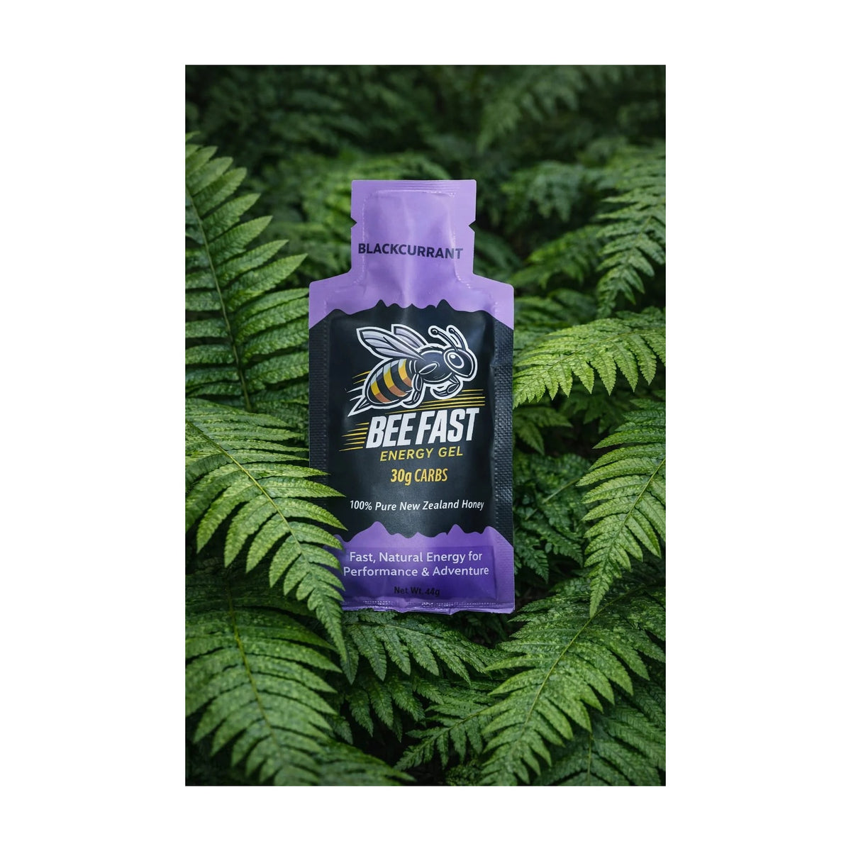 Blackcurrant (44g) #Flavour_Blackcurrant (44g)